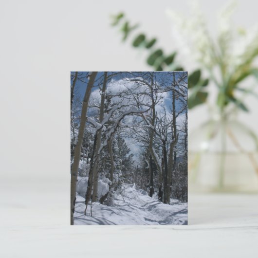 Carte Postale Parcours couvert de neige à travers les Rocheuses (Debout devant)