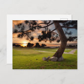 Carte Postale Parcours de golf Sunset (Devant / Derrière)