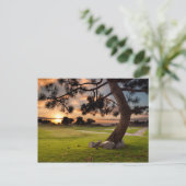 Carte Postale Parcours de golf Sunset (Debout devant)