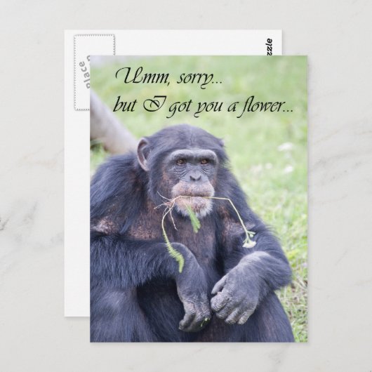 Carte Postale Pardon (Devant / Derrière)