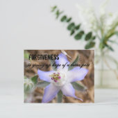 Carte Postale PARDONNANCE, abandonne l'espoir d'un b... (Debout devant)