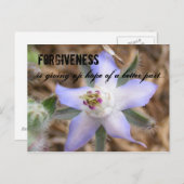 Carte Postale PARDONNANCE, abandonne l'espoir d'un b... (Devant / Derrière)