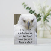 Carte Postale Pardonne-moi_ (Debout devant)