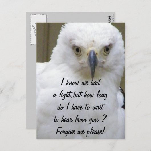 Carte Postale Pardonne-moi_ (Devant / Derrière)