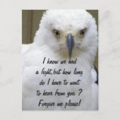 Carte Postale Pardonne-moi_ (Devant)