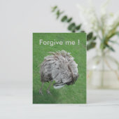 Carte Postale Pardonne-moi ! (Debout devant)