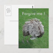 Carte Postale Pardonne-moi ! (Devant / Derrière)