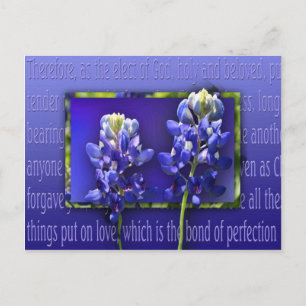 Carte Postale Pardonne-moi