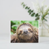 Carte Postale Paresse douce (Debout devant)