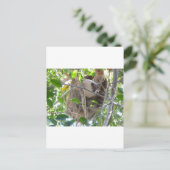Carte Postale paresseux (Debout devant)