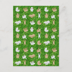 Carte Postale paresseux