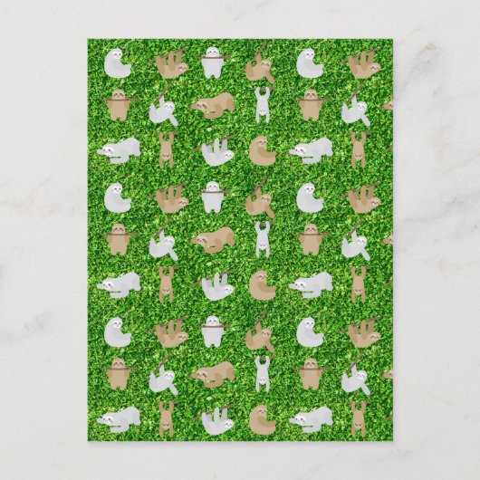 Carte Postale paresseux (Devant)