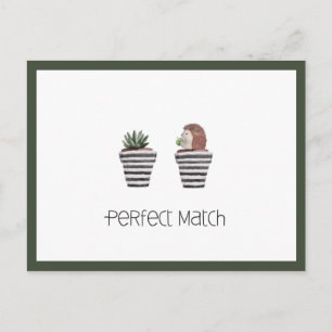 Carte Postale Parfait accord   Hérisson mignon & Amour de cactus