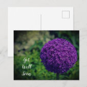 Carte Postale Parfait fleur d'Allium violet pour prompt rétablis (Devant / Derrière)