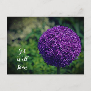 Carte Postale Parfait fleur d'Allium violet pour un prompt rétab