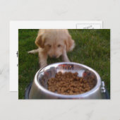 Carte Postale Parfois, il est difficile de répondre à vos attent (Devant / Derrière)