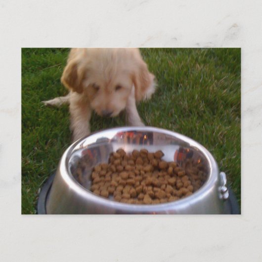 Carte Postale Parfois, il est difficile de répondre à vos attent (Devant)