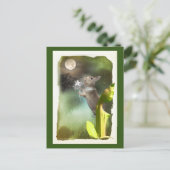 Carte Postale Parfois tard dans la nuit j'entends Joey chanter / (Debout devant)