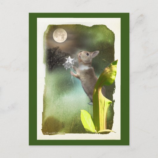 Carte Postale Parfois tard dans la nuit j'entends Joey chanter / (Devant)