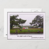 Carte Postale Parfum de pluie (Devant / Derrière)