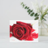 Carte Postale Parfum d'un Rose (Debout devant)