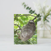 Carte Postale Parfums détendus dans la nature (Debout devant)