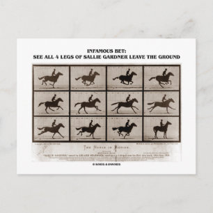 Carte Postale Pari tristement célèbre 4 Jambes Sallie Gardner Le