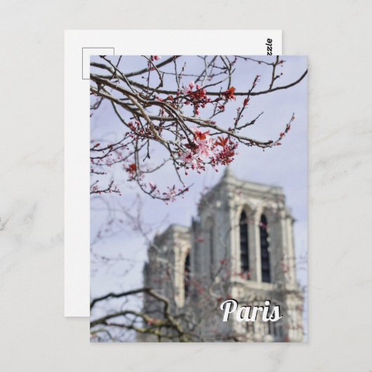 Carte Postale Paris France (Devant / Derrière)