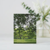 Carte postale Park (Debout devant)