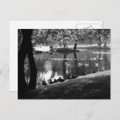 Carte Postale Park Life pccnm (Devant / Derrière)