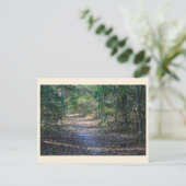Carte postale Park Path (Debout devant)