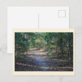 Carte postale Park Path (Devant / Derrière)