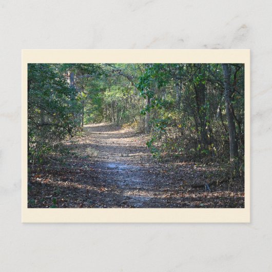 Carte postale Park Path (Devant)