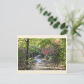 Carte postale Park Path (Debout devant)