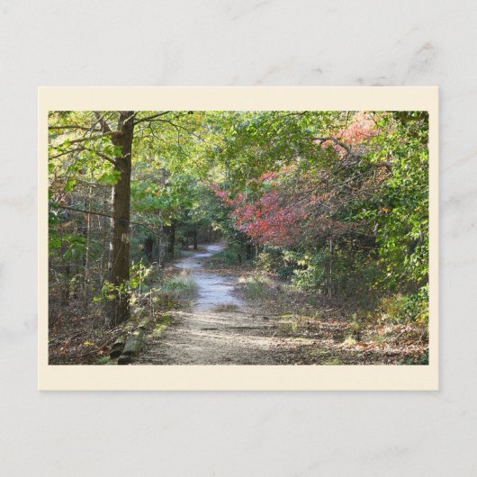 Carte postale Park Path (Devant)