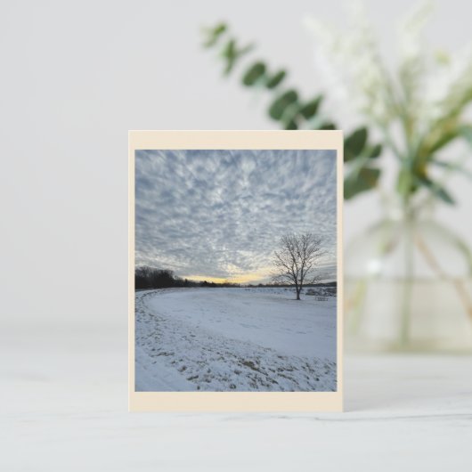 Carte postale Park Winter Sunset (Debout devant)