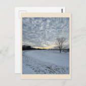 Carte postale Park Winter Sunset (Devant / Derrière)