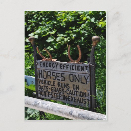 Carte Postale Parking Amish (Devant)