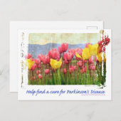 Carte Postale Parkinsons Maladie Champ de tulipes (Devant / Derrière)