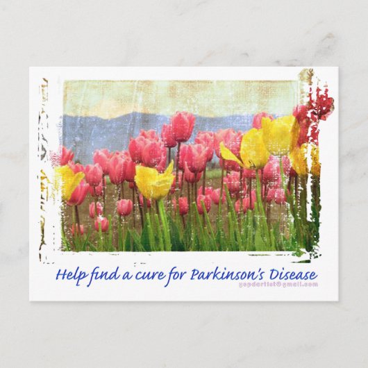 Carte Postale Parkinsons Maladie Champ de tulipes (Devant)