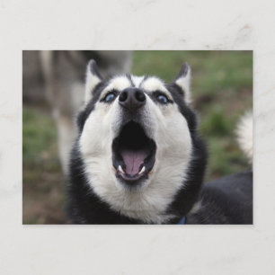 Carte Postale parlant