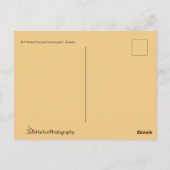 Carte postale parlante de colibri (Dos)