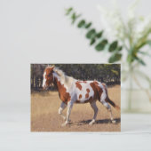 Carte Postale Parlé (Debout devant)