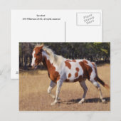 Carte Postale Parlé (Devant / Derrière)