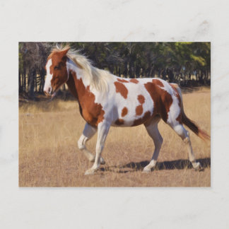 Carte Postale Parlé