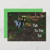 Carte Postale Parler À La Queue (Devant / Derrière)