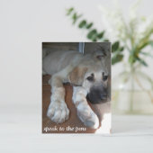 Carte Postale Parlez à la patte (Debout devant)