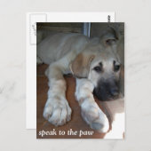 Carte Postale Parlez à la patte (Devant / Derrière)