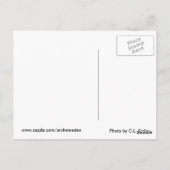 Carte Postale Parlez avec les animaux (Dos)