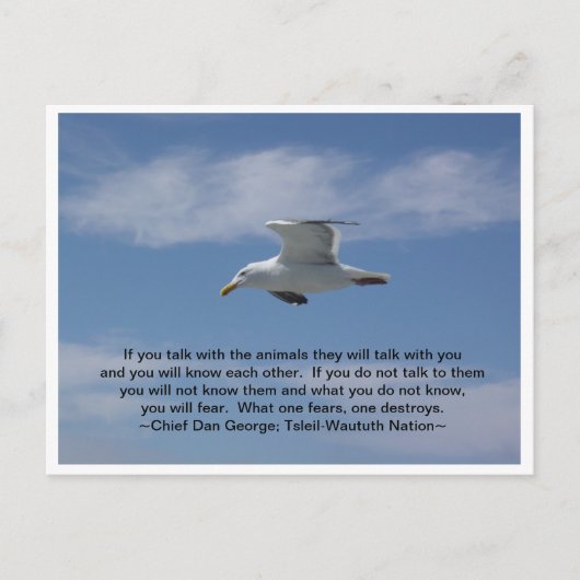 Carte Postale Parlez avec les animaux (Devant)